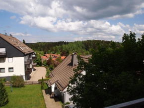 Apartment Schimmer